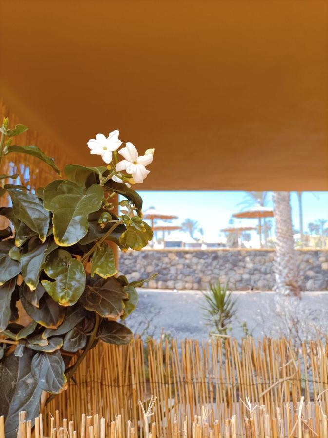코라레호 Mai Fuerteventura By Best Holidays Fuerteventura 아파트 외부 사진